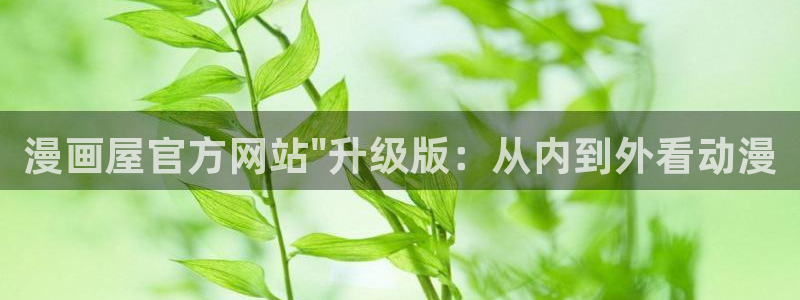 漫漫漫画免费观看
