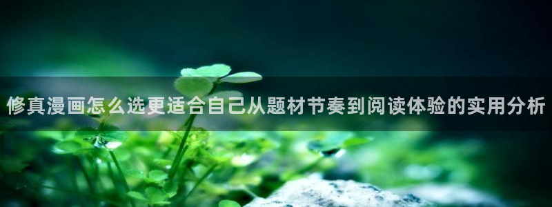 漫漫漫画手机版
