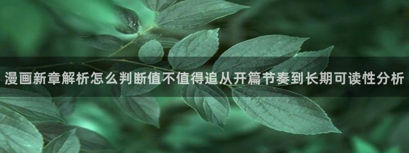 漫漫漫画高人气漫画